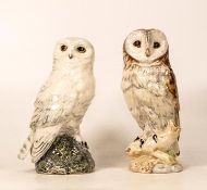 Royal Doulton decanters to include Barn owl and Snowy owl . Both empty (2)