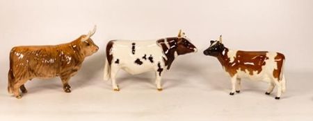 Beswick Highland cow (horns restored), Ayshire bull ( 1 horn missing) and Ayshire cow ( 1 horn
