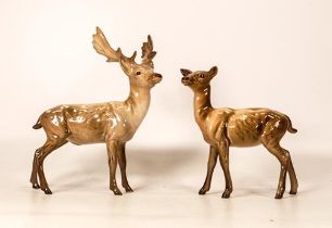Beswick stag 981 and Doe 999A (2)