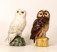 Royal Doulton decanters to include Tawny owl and Snowy owl . Both empty (2)