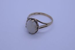 9ct yellow gold dress ring with white opal in 8 claw mount on split shoulder supports, size M/N, app
