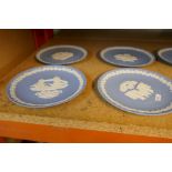 15 Wedgwood Blue Jasperware Christmas plates