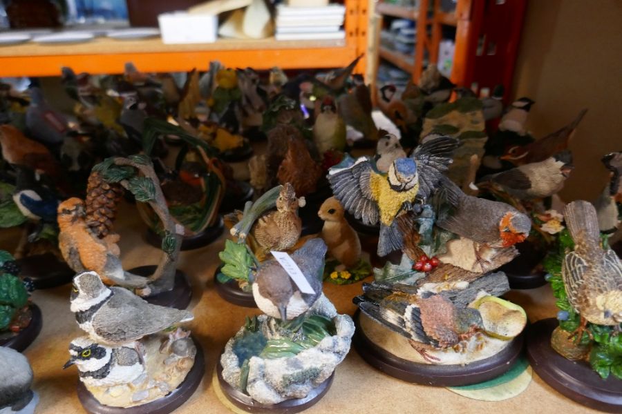 A large selection of resin figures mostly depicting British birds - Bild 5 aus 8