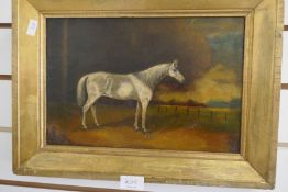 An oil on board of grey horse in landscape 33 cm x 22 cms