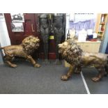 A gorgeous pair of large moder bronzed standing male lions, length 148cms approx. These are absolut