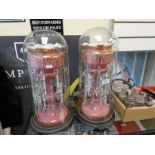 A large pair of late Victorian pink Opalene glass lustres with gilt decoration and a pair of tall gl