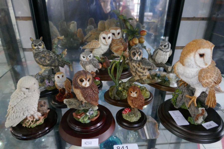 A quantity of Country Artists Owl figures, some boxed - Image 4 of 5