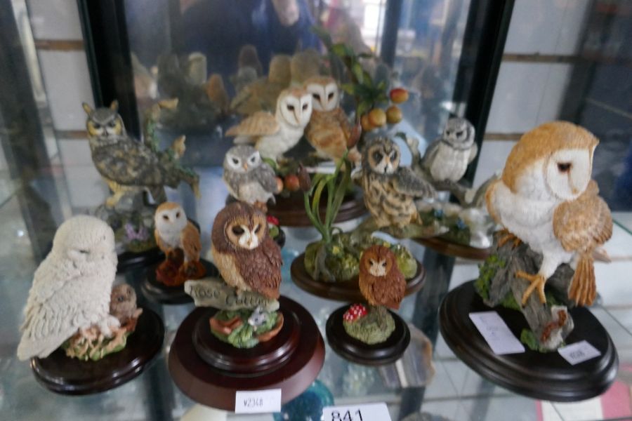 A quantity of Country Artists Owl figures, some boxed