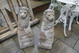 Pair reconstituted lions on plinths