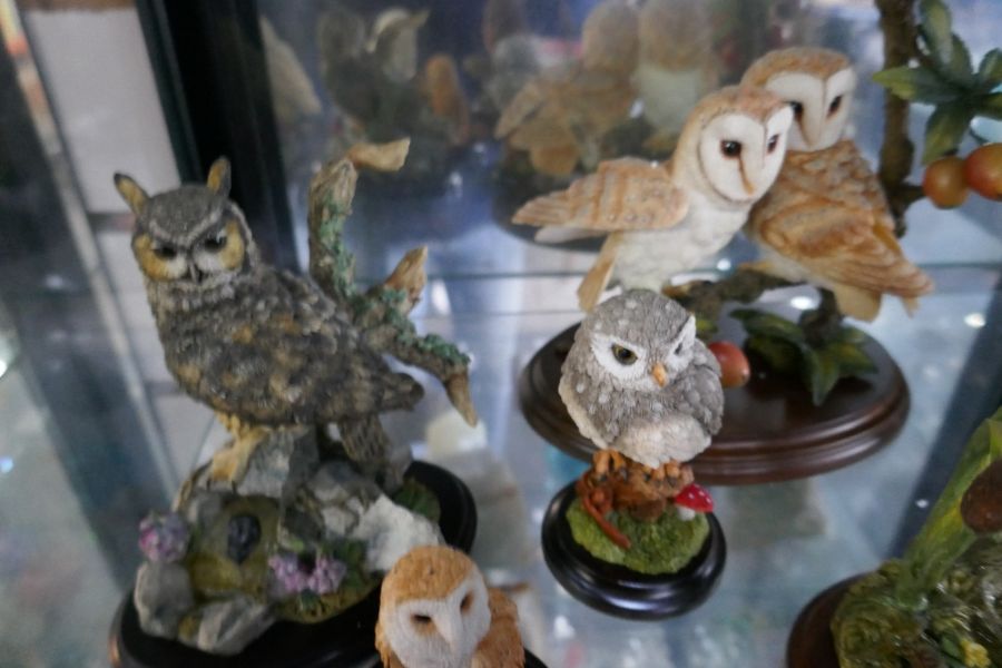 A quantity of Country Artists Owl figures, some boxed - Image 3 of 5