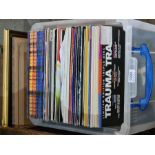 A tub of vinyl LP records, mainly house / garage music