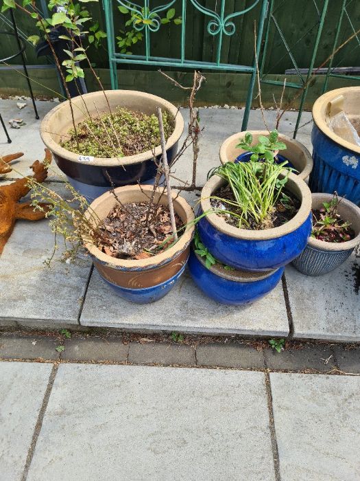 Selection of mostly blue glazed garden planters