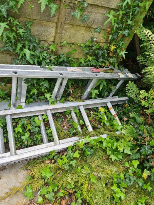 Two aluminium ladders, one being a step ladder