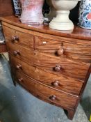An antique mahogany bow front chest having two short and three long drawers on bracket feet, 100.5cm