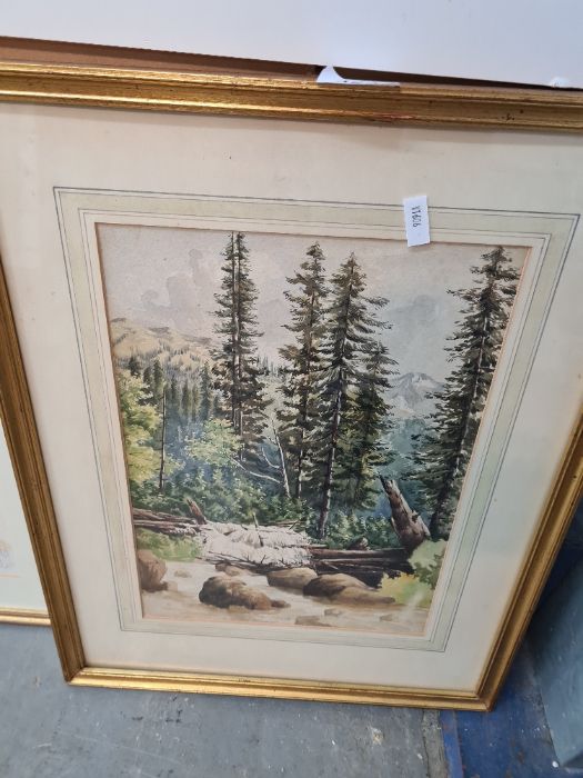 A late 19th Century of Bear Creek, Canada after Radford, unsigned, 24 x 34cms