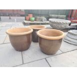 Three matching garden pots