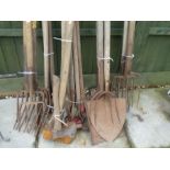 A quantity of vintage garden tools mainly forks, axes and hoes