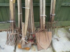 A quantity of vintage garden tools mainly forks, axes and hoes