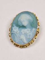 18ct yellow gold mounted blue Cameo brooch/pendant, with twisted frame green/blue hardstone, marked