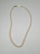 Single row of graduating pearls, with 9ct gold clasp, 42cm
