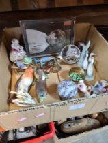 Two small boxes of mixed items including pin cushion dolls and compacts