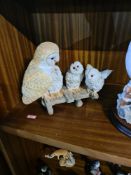 Border Fine Arts, a quantity of Owl figurines to include Silent Sanctuary and a similar Country Arti