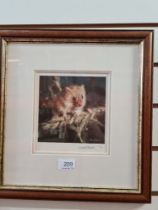 Three David Shepherd pencil signed prints, all limited editions