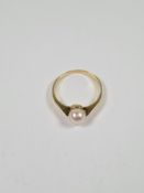 14ct gold dress ring set with a single pearl, marked 585, size T, approx 2.38g