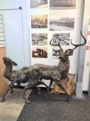 A modern cast bronze Stag and Doe sculptures, the tallest 163cm
