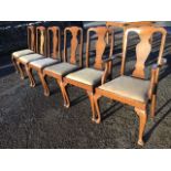 A set of six Queen Anne style dining chairs with vase shaped splats and drop-in upholstered seats,