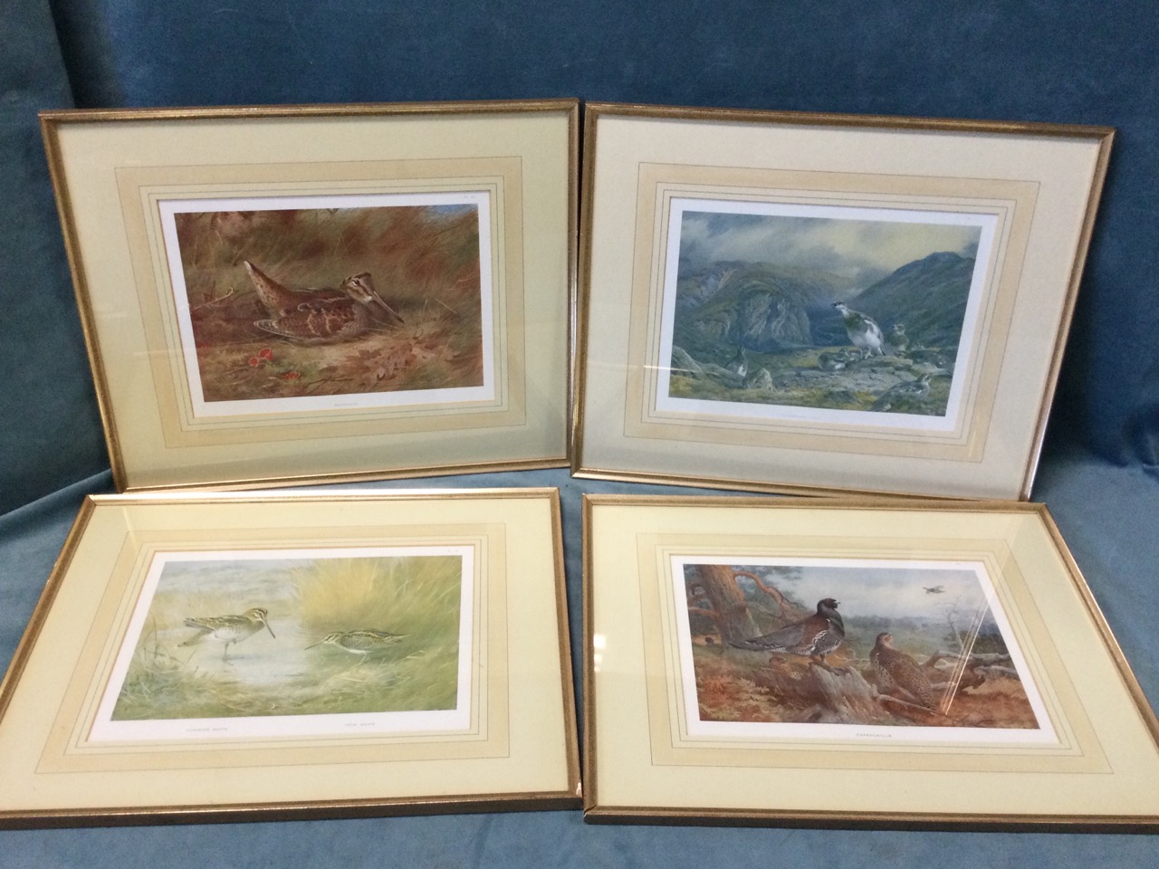 A set of four Thorburn prints, mounted and framed - snipe, capercaillie, ptarmigan and woodcock, the