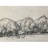 Harold Hope Reed, pen & ink, tree landscape with two cattle, signed with initials and dated 1924,