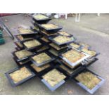 A set of 46 square plant containers with flat rims and tapering angled bodies - moss filled. (12.5in