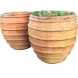 A pair of ovoid ribbed terracotta plant pots. (15.75in) (2)