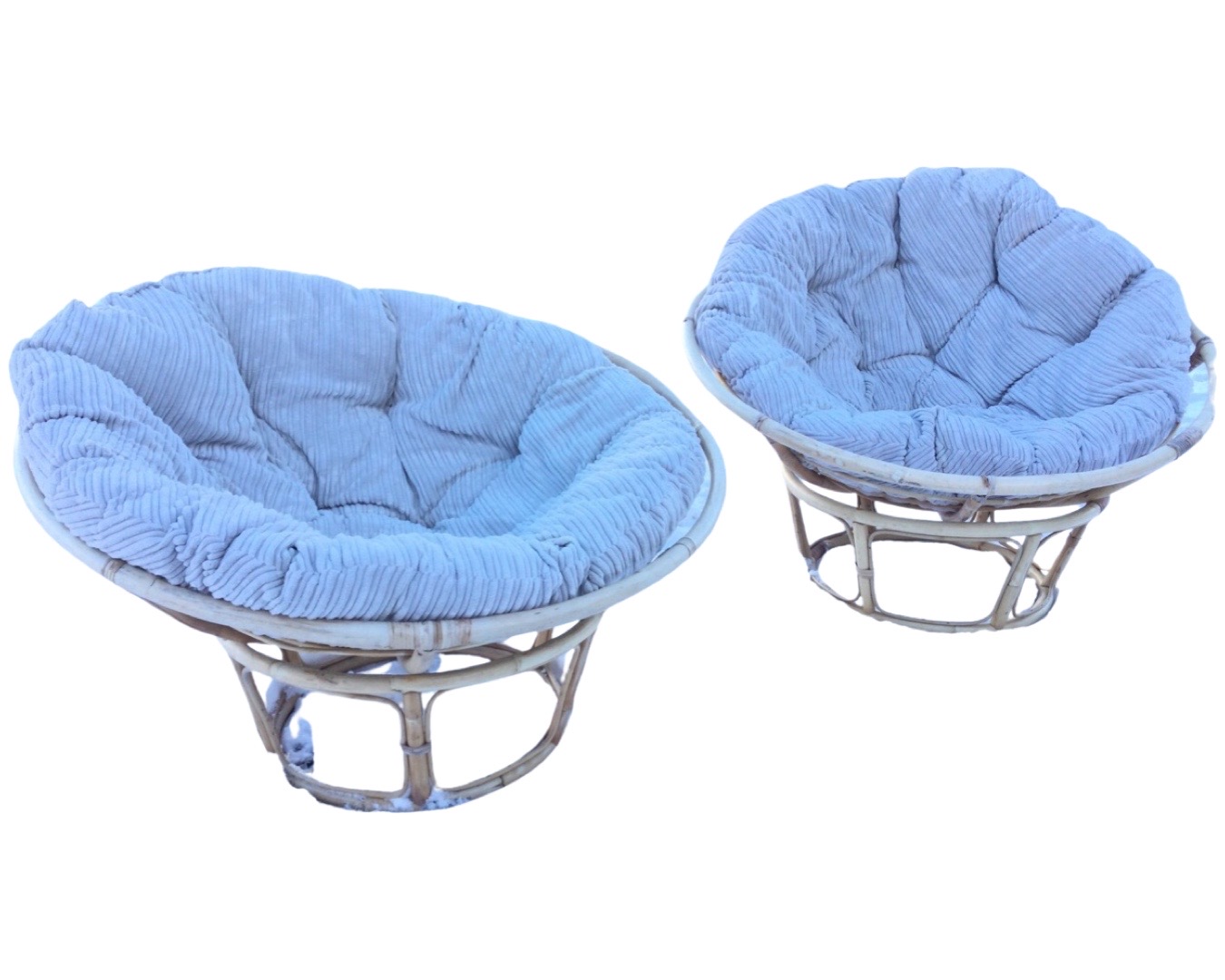 A pair of circular cane conservatory chairs with loose cushions on bowl shaped seats, raised on