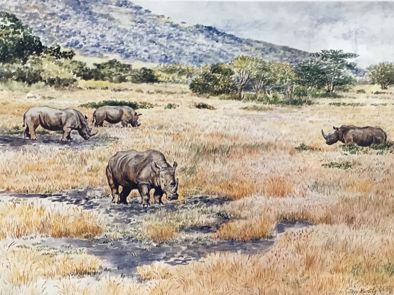 Jeff Huntly, a pair of coloured prints, African landscapes with rhinos and girafffe, signed in print - Image 2 of 3