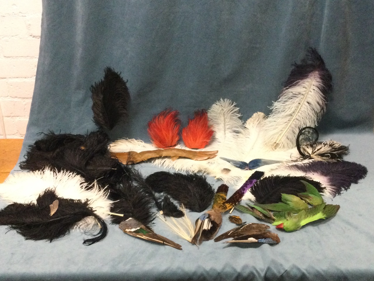 A collection of decorative feathers - ostrich, dyed capes, a parrot head, hat decorations, etc. (A