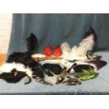 A collection of decorative feathers - ostrich, dyed capes, a parrot head, hat decorations, etc. (A