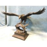 Milo, bronze, an eagle with outstretched wings, mounted on naturalistic outcrop, raised on