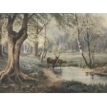G Willoughby, Victorian coloured print, deer by pool in wooded landscape, titled The Home of the