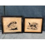 TW Duncan, pen & ink, a pair, Victorian study of a hooded crow and dying mallard, signed and dated