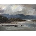 Nineteenth century oil on canvas, coastal highland landscape with gulls, unsigned, in anthemion &