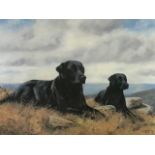 John Trickett, lithographic coloured print, two black labs in landscape, signed and numbered in