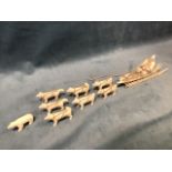 A carved Inuit walrus ivory sleigh dog team with figure on sledge, the seven animals with leather