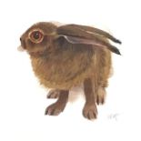Mary Ann Rogers, coloured lithographic print, study of a hare titled Timid, signed and numbered in