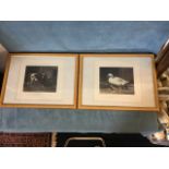 JF Herring, a pair of nineteenth Fores prints from the Mothers series, the coloured plates titled