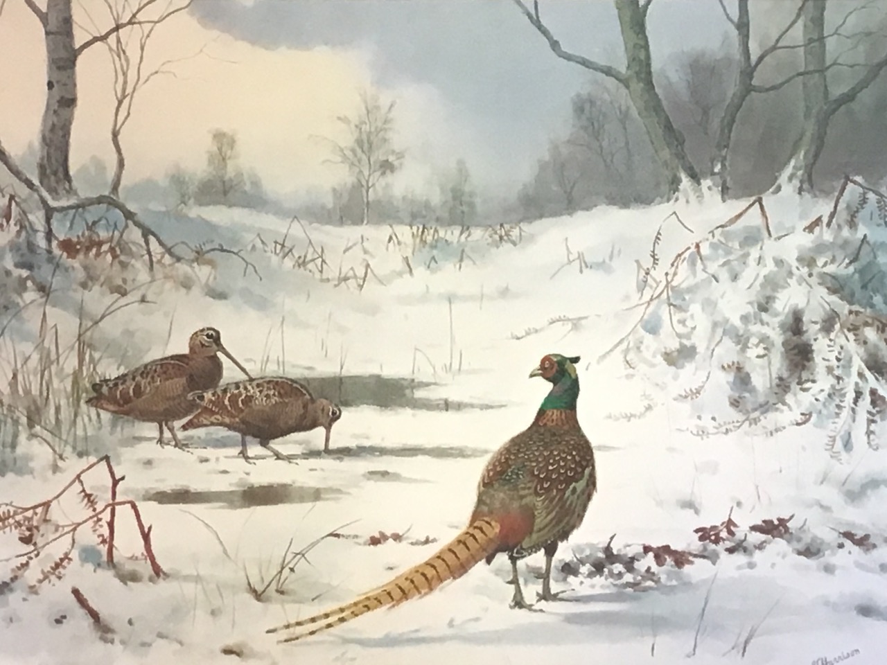 JC Harrison, lithographic coloured print, cock pheasant and woodcock in snowy landscape, signed