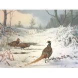 JC Harrison, lithographic coloured print, cock pheasant and woodcock in snowy landscape, signed
