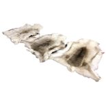 Three Scandinavian reindeer hide skins, the rugs or throws undyed with natural skin colouration. (