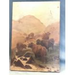 Victorian oil on canvas, highland cattle in landscape, unsigned & unframed. (13.75in x 19.75in)